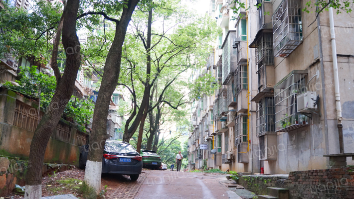 林科大西园教工宿舍外景图