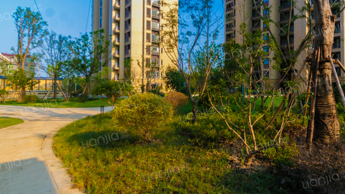嘉兴鸿翔杨柳春风郡房价怎么样鸿翔杨柳春风郡房源户型图小区车位交通
