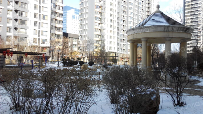 水木清华外景图