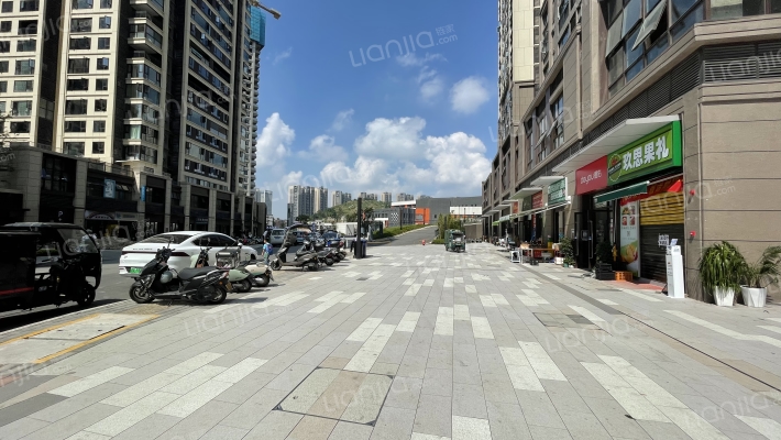 万科·麓山外景图