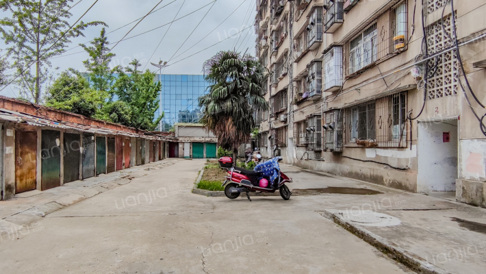 春园西路肥皂厂家属院外景图