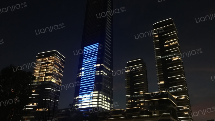 深圳湾1号外景图