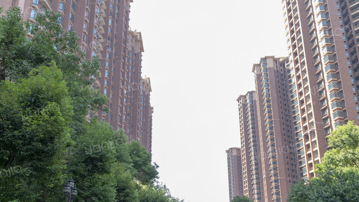 东湖洲花园B区外景图