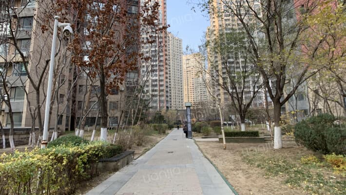 沿海赛洛城外景图