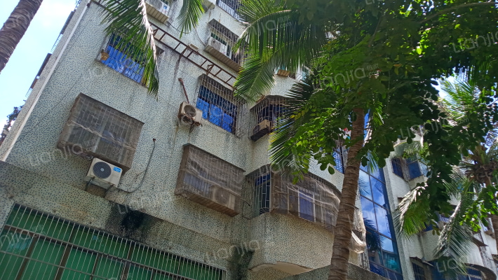 市电信局宿舍外景图