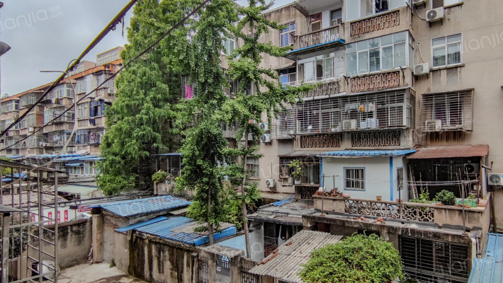 毛纺小区绒线厂家属院外景图