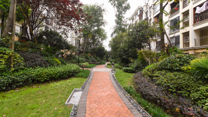 国瑞爱与山外景图