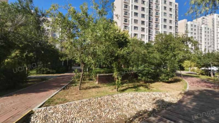 奉献北里外景图