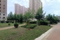 澳东世纪19