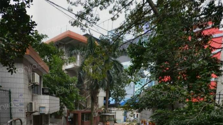 环市西路外景图