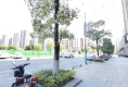 文岭西堤8