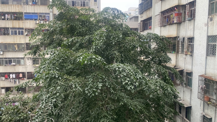 海甸沿江三东路外景图