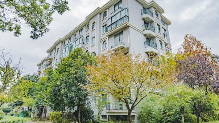 月季花园外景图