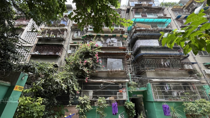 红花西路9号外景图