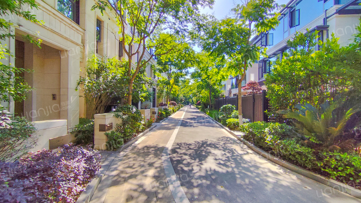 柳岸春风外景图