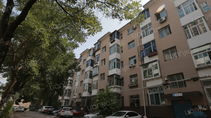 涤纶厂小区外景图