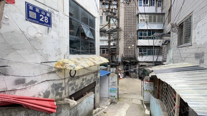 百花山路28号外景图