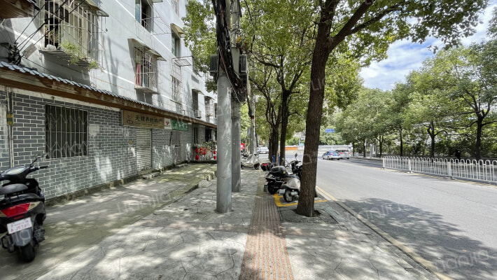 观水路235号外景图