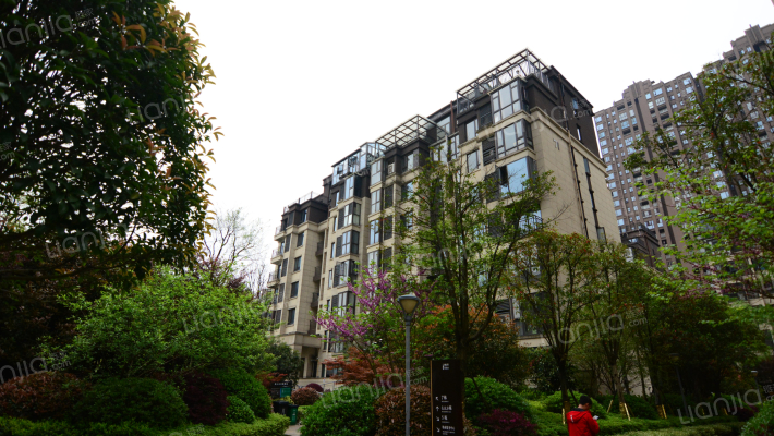 洋湖公馆二期外景图