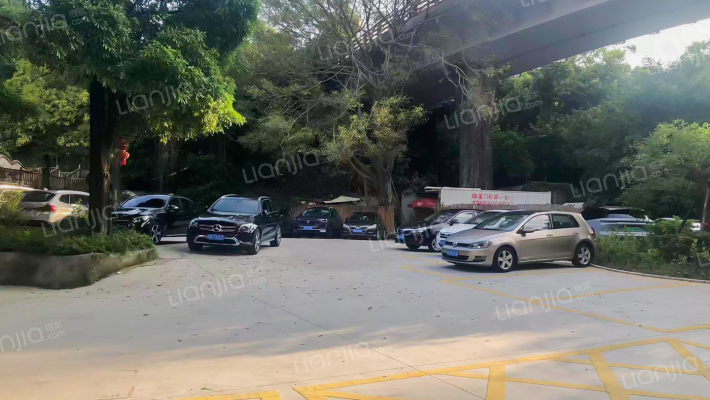 厦门古玩城外景图