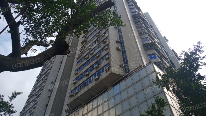 国信大厦外景图