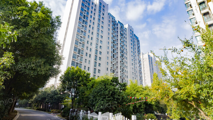 城市绿洲外景图