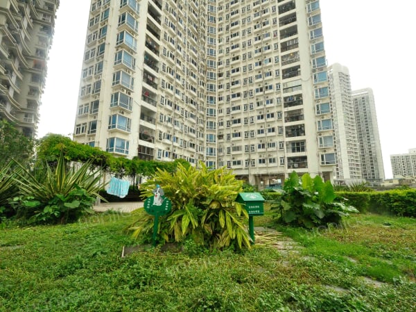 东门168 普通住宅 小区图片仅供参考