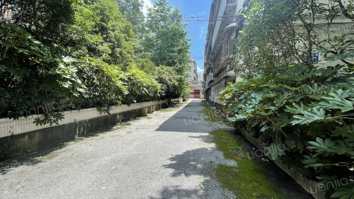 煤炭厅宿舍外景图