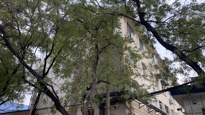 检查院家属楼外景图