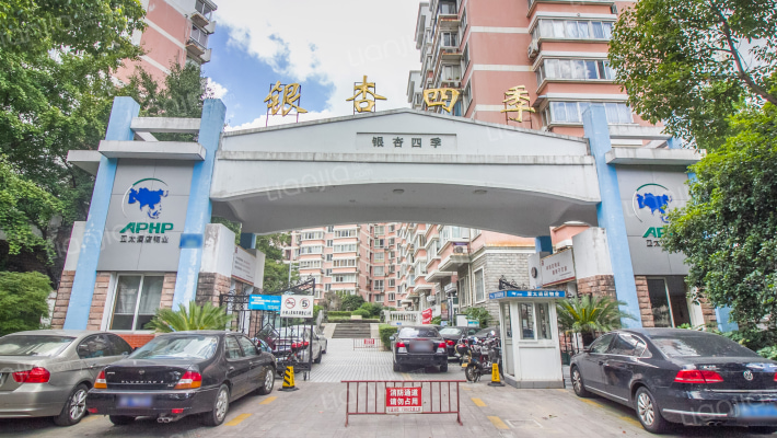 银杏四季外景图