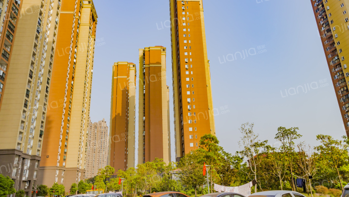 连城家园外景图