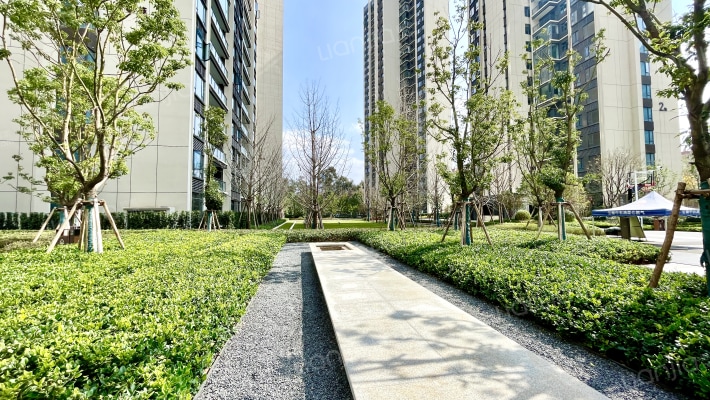 云和中心外景图