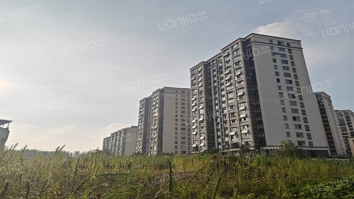 弘诚学府外景图