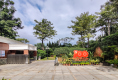 玮鹏花园13