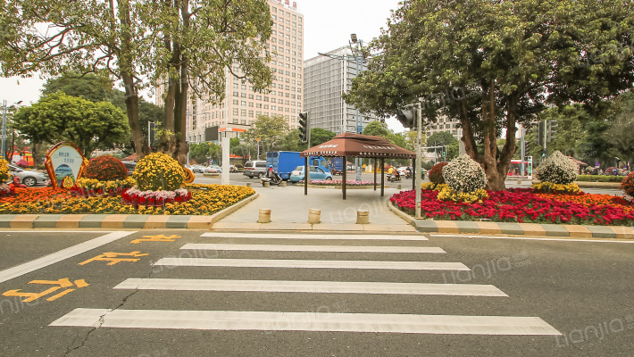 小榄西区自建房外景图