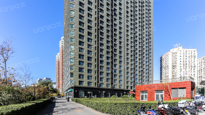 天龙华鹤外景图