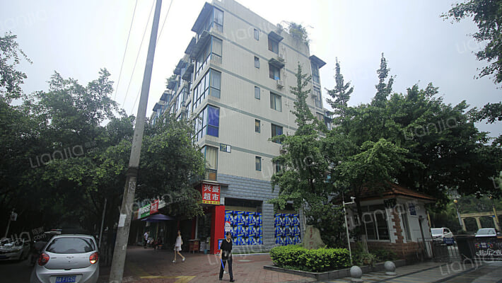 星光四季外景图