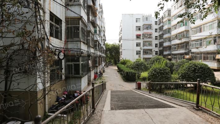 东华苑碧梧园外景图