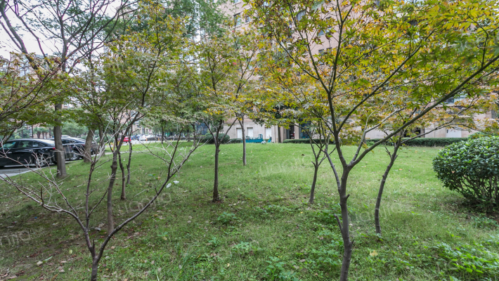 清水湾花园房源|户型图|小区车位|交通地址详情分析!