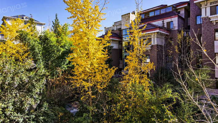 曲江公馆外景图