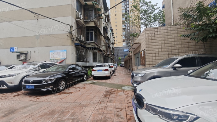 桐凤路45号外景图