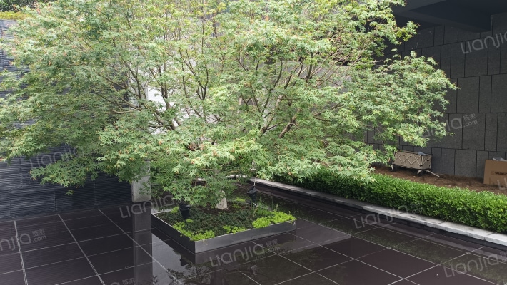 融创金成璞樾大观外景图