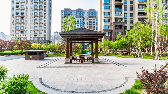 吉森漫桦林外景图