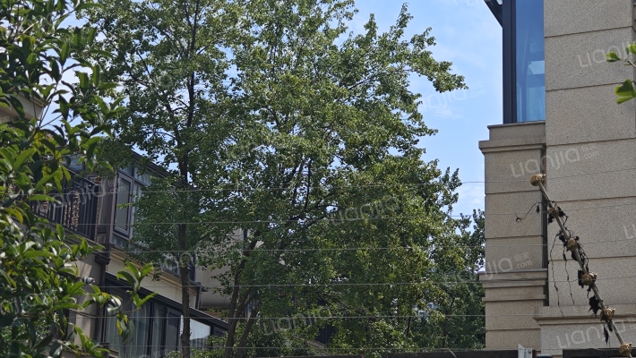 九龙仓玺园D区外景图