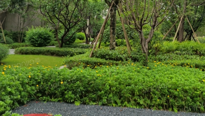 佳兆业广场外景图