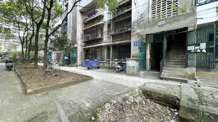 桃园路54号外景图