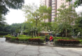 龙珠花园B区9