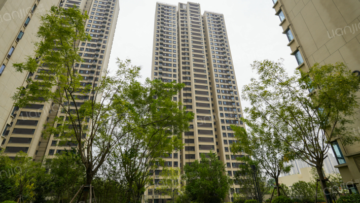 融信融园外景图