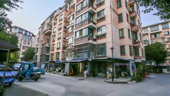 荷塘月色（淀山湖）外景图