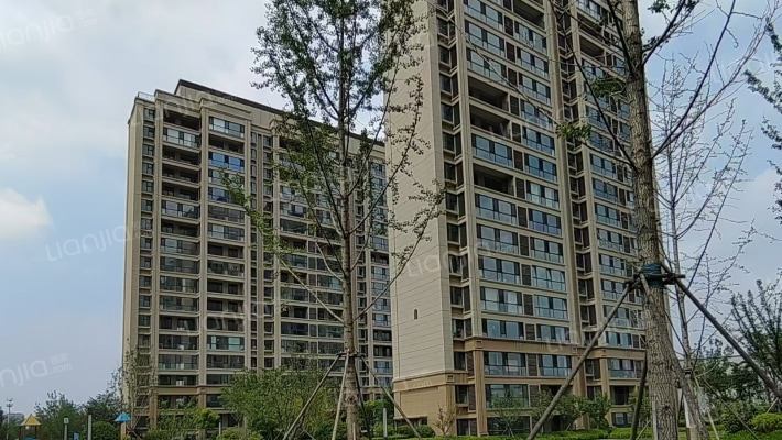 鲁骐·书香世家外景图